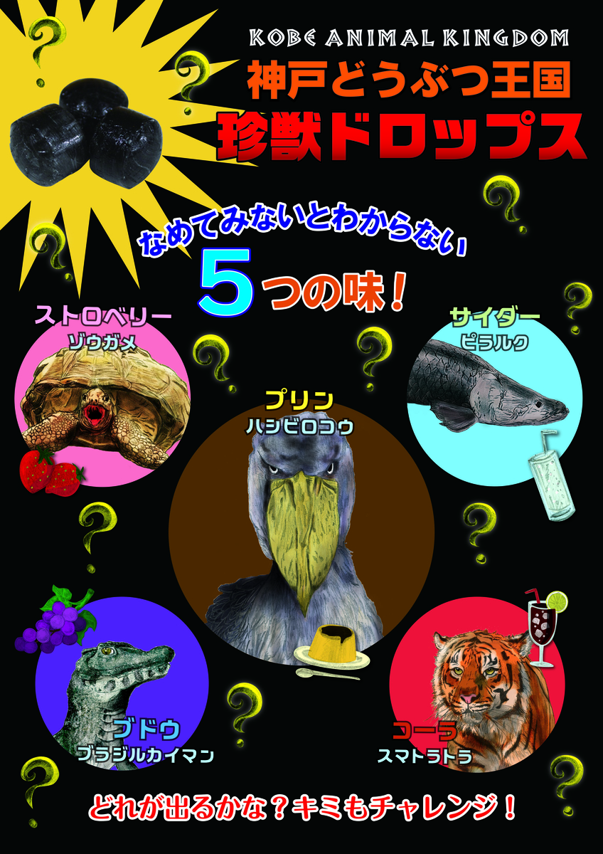 神戸どうぶつ王国『珍獣ドロップ』 ハシビロコウ スマトラトラ